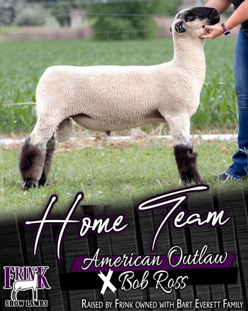 Frink Show Lambs :: Sires